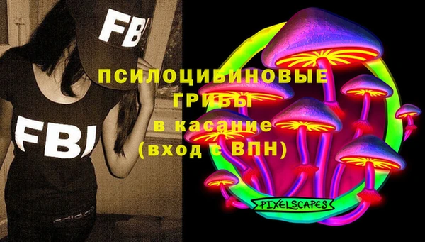 PSILOCYBIN Алексин