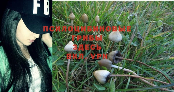 тгк Алексеевка