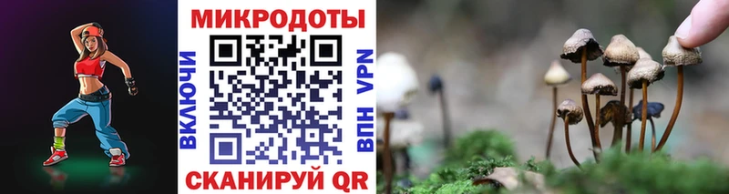 Псилоцибиновые грибы Psilocybe  Купить  Теберда 